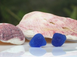 Cobalt blue stud earrings by Trikimia